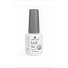 Изображение  Гель-лак Atica Gel Polish Lux Collection Cats Eye LC02, 8 мл, Объем (мл, г): 8, Цвет: 02