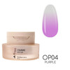 Зображення  Гель-фарба Molekula Ombre Paint Gel OP04 Purple фіолетовий, 2.5 г, Об'єм (мл, г): 2.5, Колір: 04