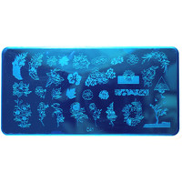 Зображення  Пластина для стемпінгу GO Active C41 Квіти, листя