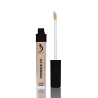 Изображение  Консилер Kodi Concealer Honey Beige, 6 мл, Объем (мл, г): 6, Цвет: Honey Beige