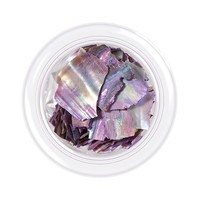 Зображення  Черепашка для нігтів Kodi Shells style, відтінок №04, 3 г