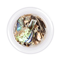 Зображення  Черепашка для нігтів Kodi Shells style, відтінок №07, 3 г