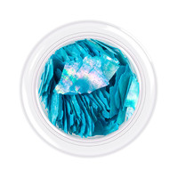 Зображення  Черепашка для нігтів Kodi Shells style, відтінок №10, 3 г