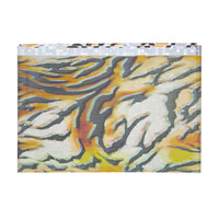 Зображення  Фольга для нігтів Naomi Кольорова №44 тигр, Колір: 44