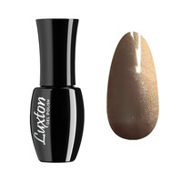 Изображение  Гель-лак магнитный LUXTON Silk Cat №06, 10 мл, Объем (мл, г): 10, Цвет: 06