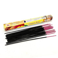 Зображення  Аромапалички шестикутник Darshan Cinnamon Mango, 20 шт