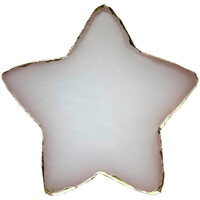 Зображення  Палітра у формі зірки для змішування фарб, гелів, гель лаків та інших матеріалів (10х10см.), 383