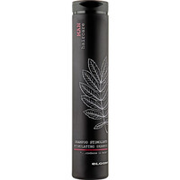 Зображення  Шампунь проти випадання, зміцнення, росту волосся Elgon Man Stimulating Shampoo, 250 мл, Об'єм (мл, г): 250