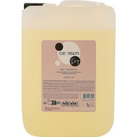 Зображення  Шампунь для сухого кучерявого й фарбованого волосся Inebrya Ice Cream Dry-T Shampoo, 10 л, Об'єм (мл, г): 10000