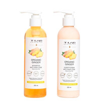 Зображення  Набір для ослабленного волосся T-Lab Professional Organic Ginger Shampoo and Mask set, 250+250 мл