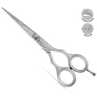 Изображение  Ножницы парикмахерские Kiepe LUXURY SILVER 2452/5.5