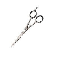 Изображение  Ножницы парикмахерские Jaguar J-0365 White Line Satin 6.5