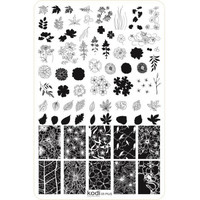 Зображення  Пластина для стемпінгу Kodi Stemping "Plus size" №05 (9,5х14,5см)