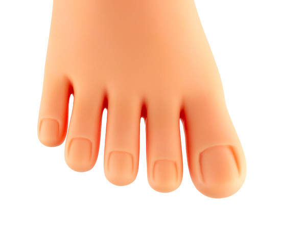 Зображення 2 Тренувальна нога для педикюру