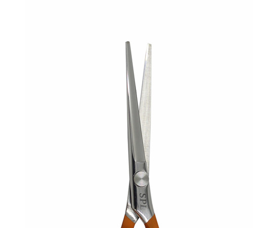 Зображення 5 Ножиці перукарські SPL 90042-55 прямі професійні 5.5