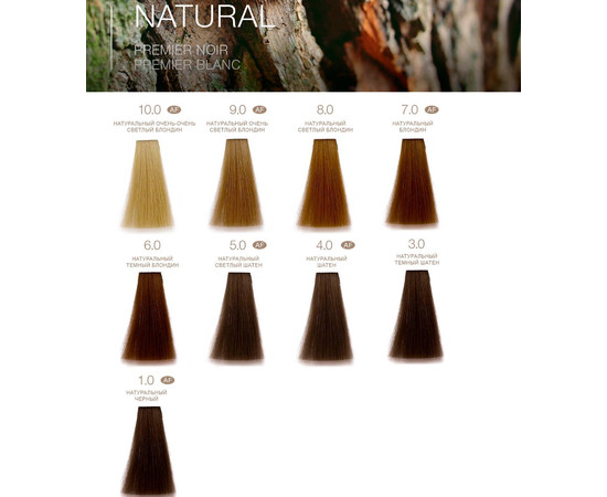 Зображення 2 Крем-фарба для волосся T-LAB Professional Premier Noir Innovative Colouring Cream 100 мл, № 10.32, Об'єм (мл, г): 100, Колір: 10.32