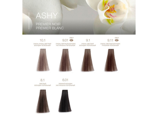 Зображення 4 Крем-фарба для волосся T-LAB Professional Premier Noir Innovative Colouring Cream 100 мл, № 10.13, Об'єм (мл, г): 100, Колір: 10.13