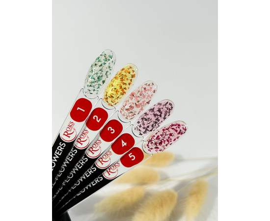 Зображення 2 Квітковий гель для дизайну Roks Boutigue Flowers 5 г, № 3, Об'єм (мл, г): 5, Колір: 003