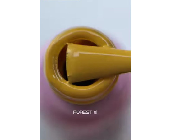 Зображення 2 Гель-лак Toki-Toki Forest FS12, 5 мл, Об'єм (мл, г): 5, Колір: FS01