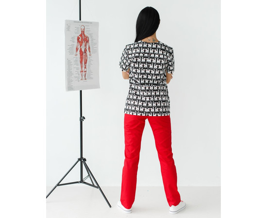 Зображення 2 Медичний костюм із принтом жіночий Топаз Cats black р. 40, "БІЛИЙ ХАЛАТ" 138-341-568, Розмір: 40, Цвет: cats black