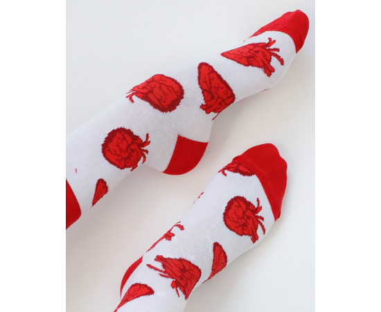 Зображення 2 Медичні шкарпетки із принтом Серця р. 41-44, "БІЛИЙ ХАЛАТ" 143-420-878, Розмір: 41-44, Цвет: білий