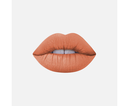 Зображення 2 Помада для губ рідка матова Elixir Liquid Lip Mat Pro 473 Maple Sugar, 5.5 г, Об'єм (мл, г): 5.5, Колір: 473