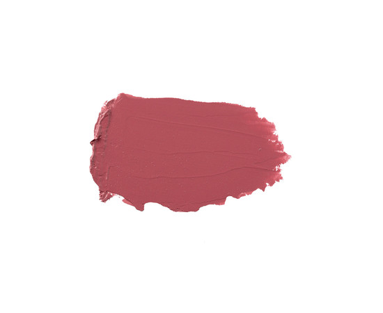 Зображення 2 Помада для губ з аргановою олією Paese Argan Oil Lipstick 24, 4.3 г, Об'єм (мл, г): 4.3, Колір: 24