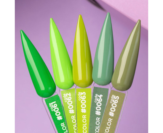 Изображение 2 Гель-лак DNKa' Color №0065, 12 мл, Объем (мл, г): 12, Цвет: 0065