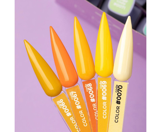 Изображение 2 Гель-лак DNKa' Color №0067, 12 мл, Объем (мл, г): 12, Цвет: 0067