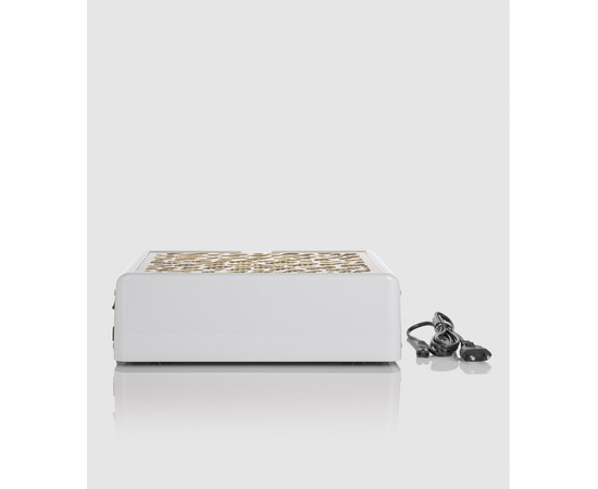 Зображення 10 Витяжка з фільтром 2 в 1 настільна/педикюрна Air Max Panther золото, 66 Вт, з підставкою