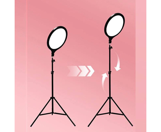 Зображення 2 Світлодіодна LED-панель ZL-QP260 – 26см. (Кільцева лампа) для студійного освітлення, на штативі 210см., 20 Вт.