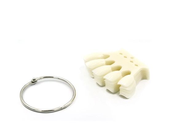 Изображение 5 Палитра "Корона" (50 типс на кольце 5.5 см ) "Овал" для демонстрации лаков / гель-лаков. Молочный