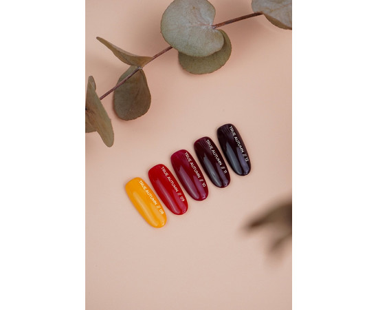 Зображення 3 Гель-лак для нігтів Siller True Autumn №11, 8 мл