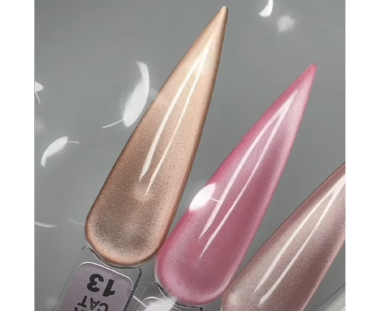 Изображение 2 Гель-лак магнитный LUXTON Silk Cat №13, 10 мл, Объем (мл, г): 10, Цвет: 13