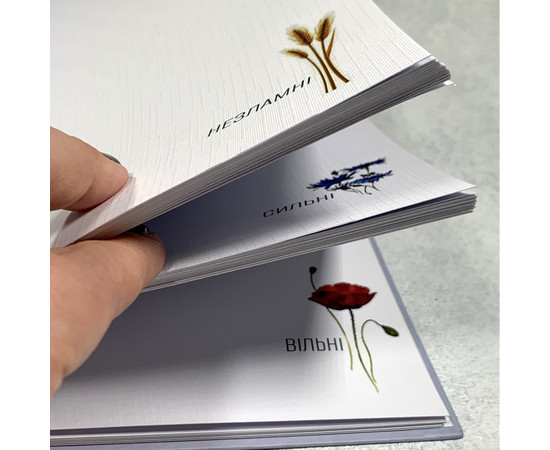 Зображення 2 Щоденник українця із твердою обкладинкою Professional Journals