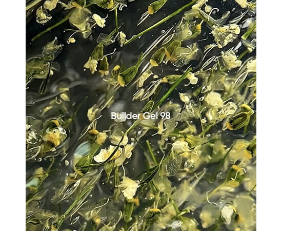 Зображення 2 Гель для наращування нігтів Nails Of The Day Builder Gel 98 прозорий з сухоцвітами, 15 мл, Об'єм (мл, г): 15, Колір: 98