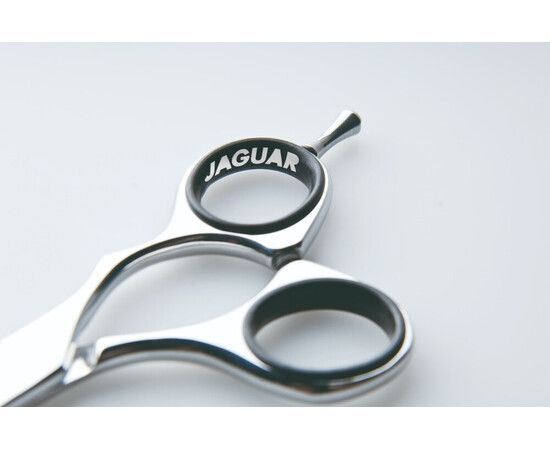 Зображення 5 Ножиці для стрижки Jaguar Silver Line CJ4plus прямі 5.5" J-9255