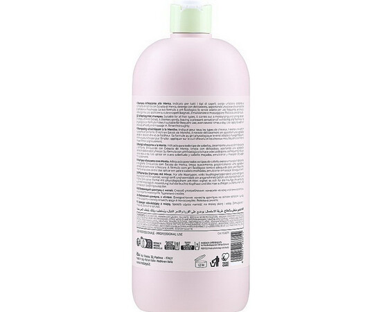 Зображення 2 Освіжуючий шампунь з м'ятою Inebrya Frequent Ice Cream Refreshing Shampoo, 1000 мл, Об'єм (мл, г): 1000