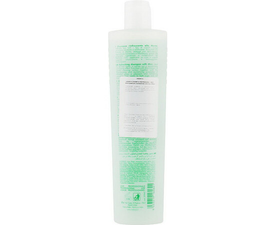 Зображення 3 Освіжуючий шампунь з м'ятою Inebrya Frequent Ice Cream Refreshing Shampoo, 300 мл, Об'єм (мл, г): 300