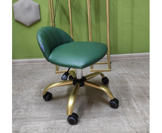 Зображення 3 Стільчик для педикюру Wonder Line Tatu (фарбований)