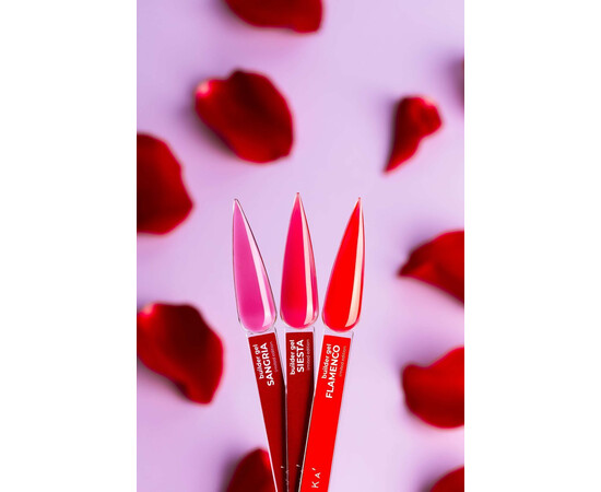 Зображення 2 Моделюючий гель для нігтів DNKa' Builder Gel Limited Edition Flamenco, 15 мм, Об'єм (мл, г): 15, Колір: Flamenco