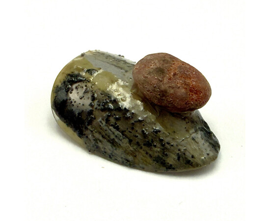 Зображення 6 Гель-паста Adore Professional Clay Gel 09 Patina без липкого шару болотяна, 5 мл, Об'єм (мл, г): 5, Колір: 09