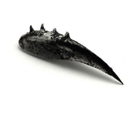 Зображення 6 Гель-паста Adore Professional Clay Gel 01 Charcoal без липкого шару чорний з золотим шимером, 5 мл, Об'єм (мл, г): 5, Колір: 01