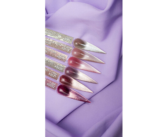 Изображение 3 Гель-лак DNKa' Cat's Eye Bohemian 0019, 12 мл, Объем (мл, г): 12, Цвет: 0019