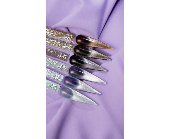 Изображение 3 Гель-лак DNKa' Cat's Eye Bohemian 0015, 12 мл, Объем (мл, г): 12, Цвет: 0015