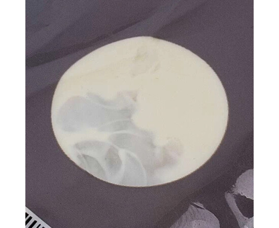 Зображення 4 Змазка SLB904UN 5g для сальників пральної машини SKL (вологостійка)