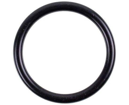 Зображення 2 Прокладка O-Ring поршня заварювального блока 5313238581 для кавомашини DeLonghi