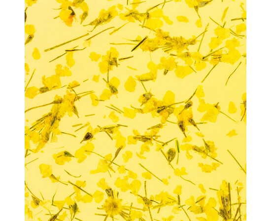 Зображення 3 Гель з сухоцвітом Kodi Flower Gel 05, 4 мл, Об'єм (мл, г): 4, Колір: 005