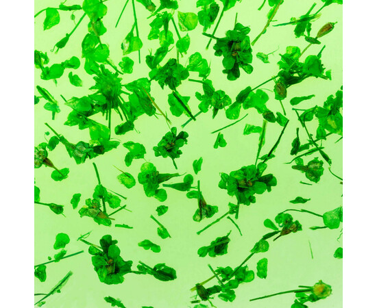 Зображення 3 Гель з сухоцвітом Kodi Flower Gel 06, 4 мл, Об'єм (мл, г): 4, Колір: 006