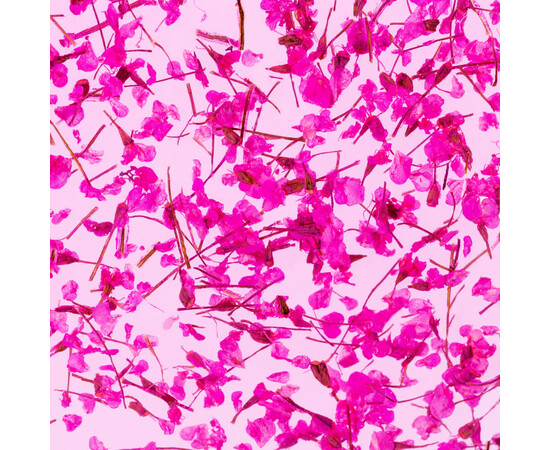 Зображення 3 Гель з сухоцвітом Kodi Flower Gel 07, 4 мл, Об'єм (мл, г): 4, Колір: 007